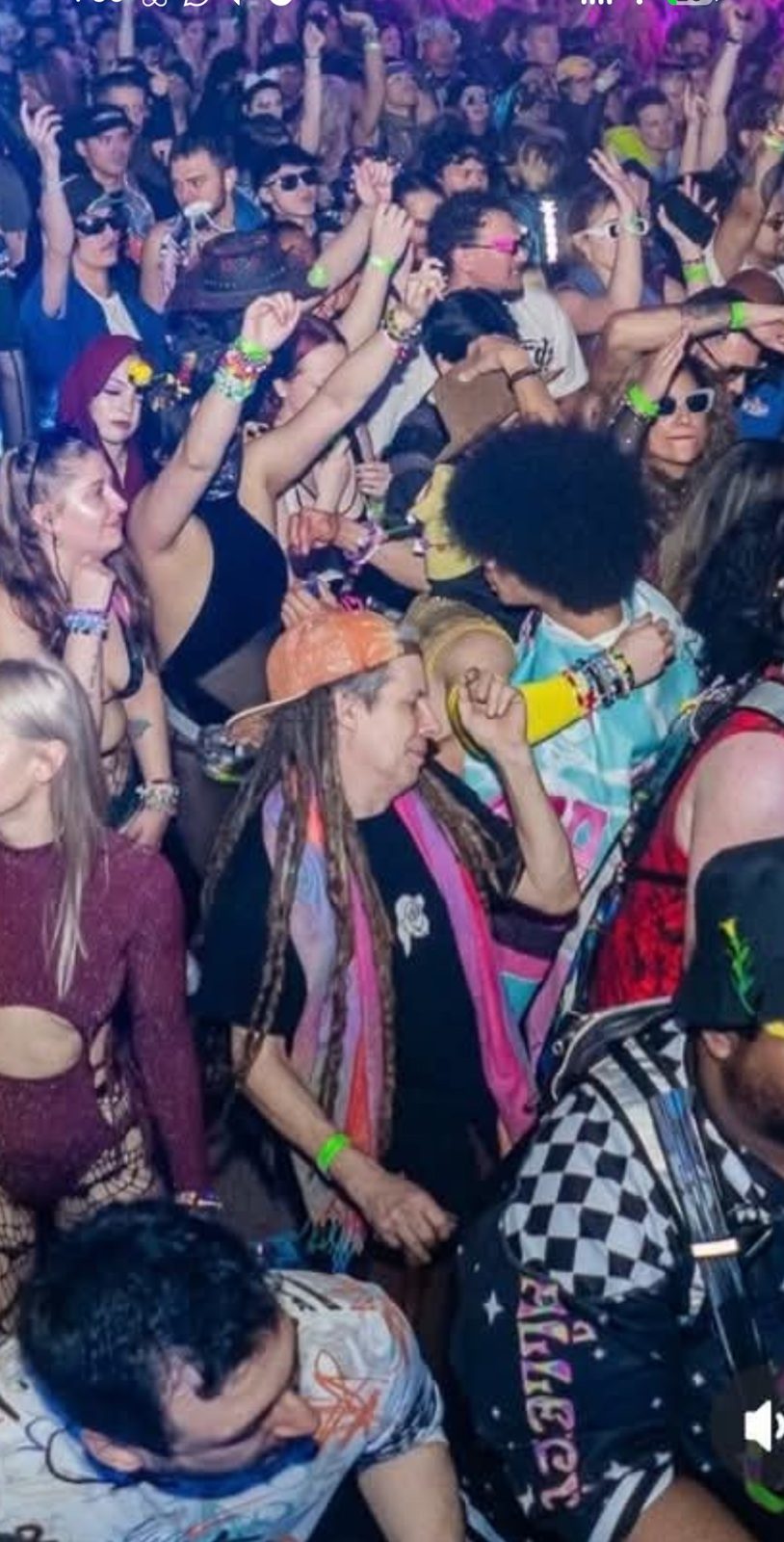 Crowd dancing in front of the stage at a music festival